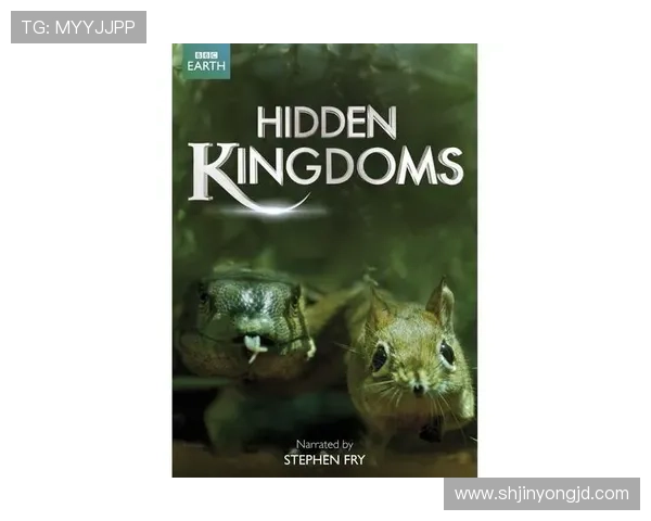 狗镇之王：都市丛林里的隐秘王国与生存法则